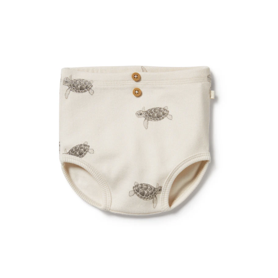 Tiny Turtle Nappy Pant, 0-3m