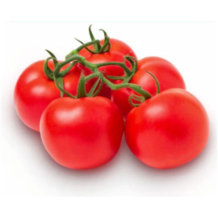 Large Red  Tomato on Vine