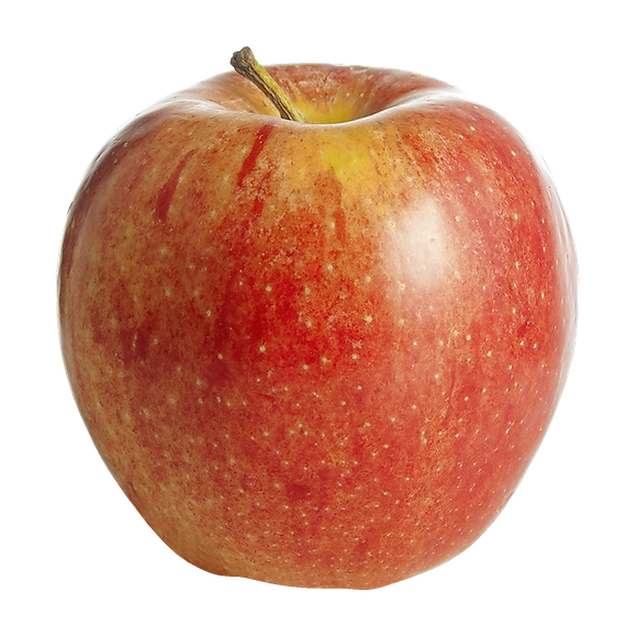 Gala Apple - Individual