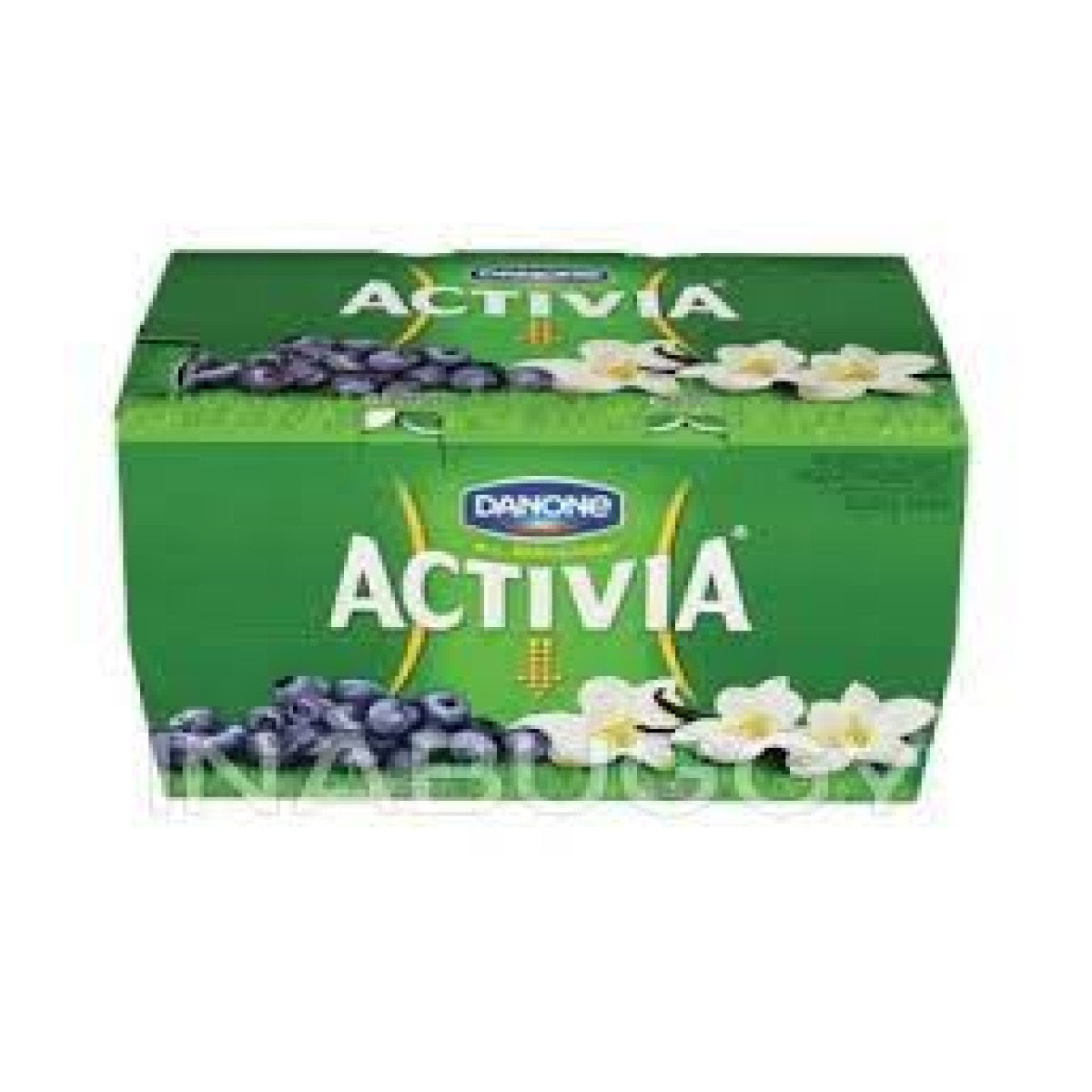 Activia Vanilla/Blueberry Yogurt, 12pk