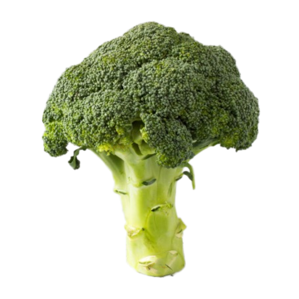 Broccoli Crowns - 1.lb