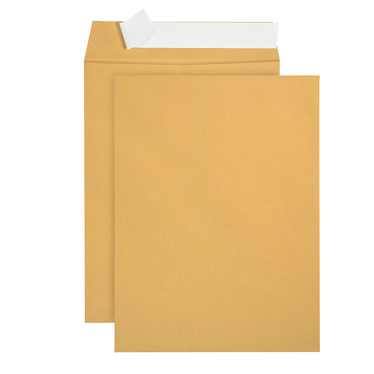 Self Adhesive Envelope, 6 x 9", pk 5