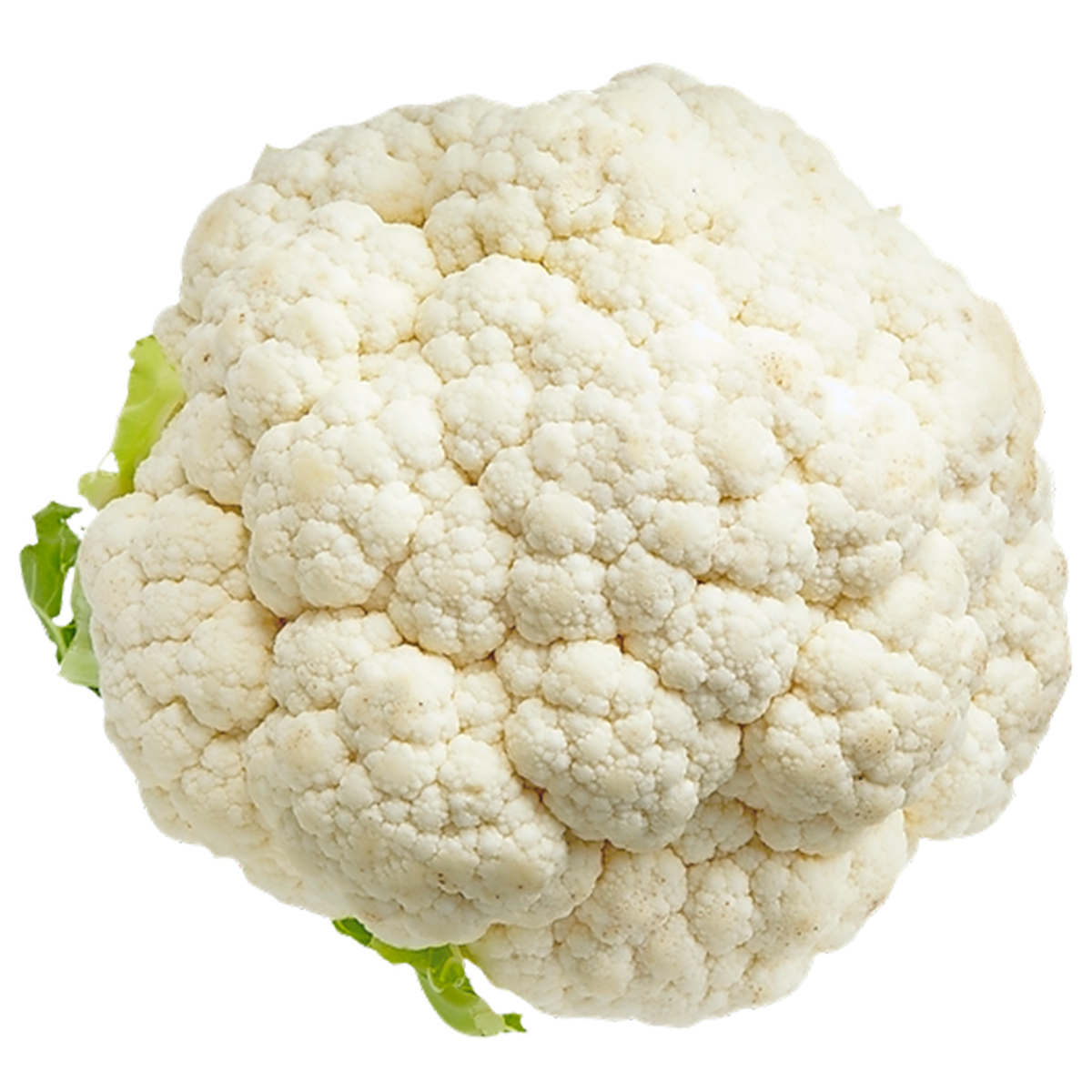 Cauliflower, head