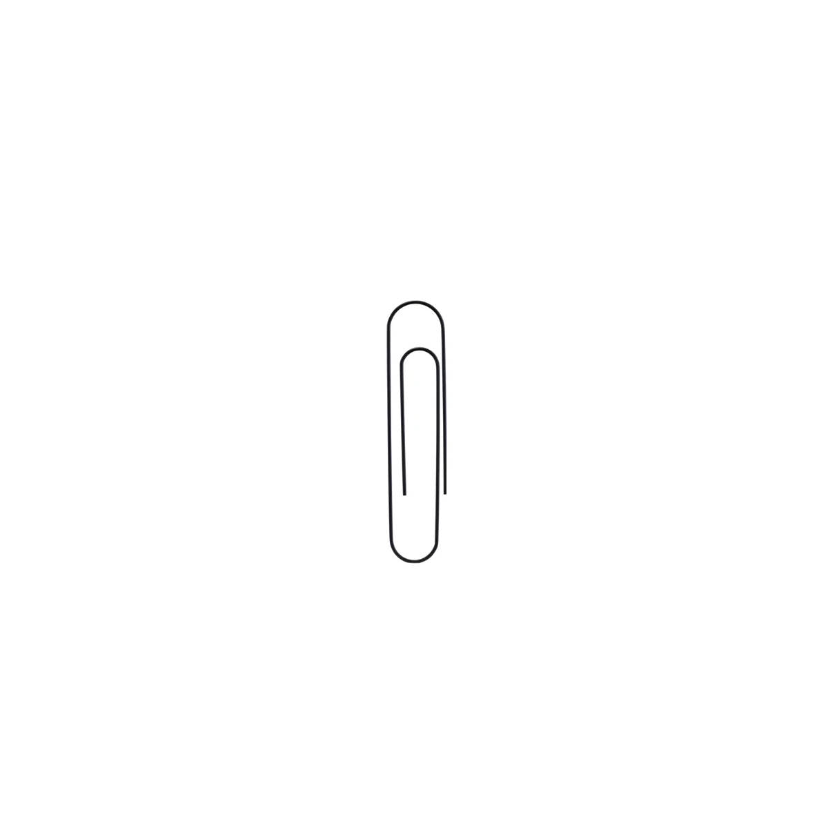 Paper Clips, Box of 100