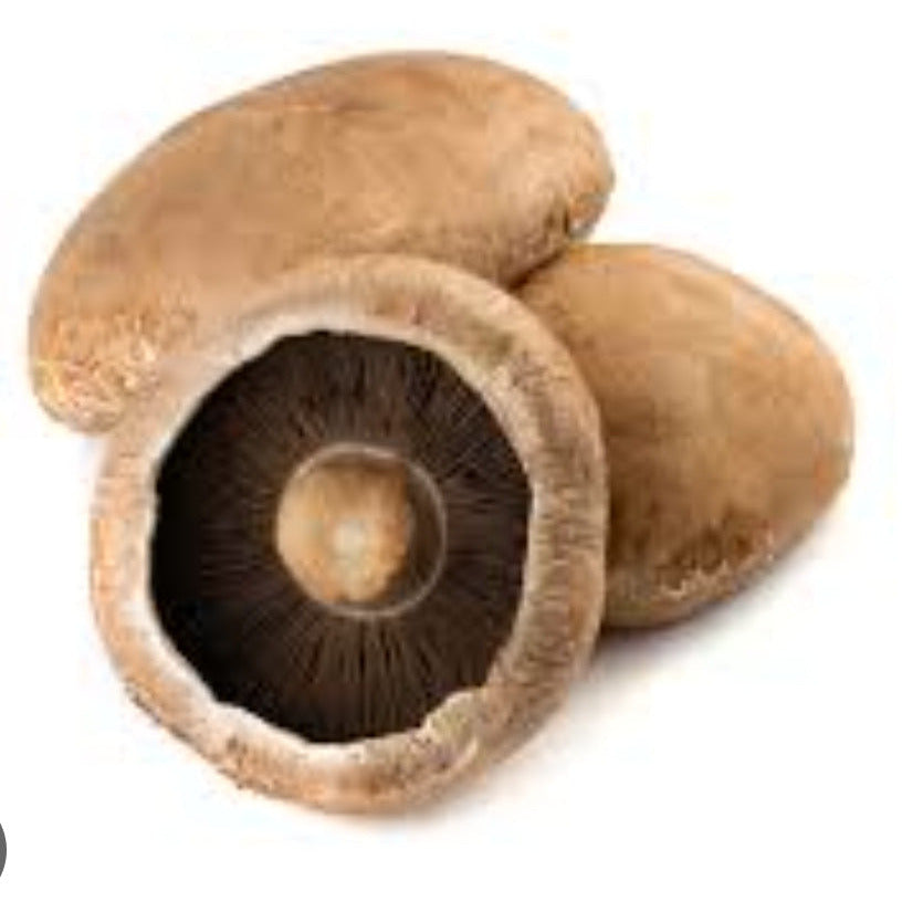 Mushroom, Jumbo Stuffer 1L