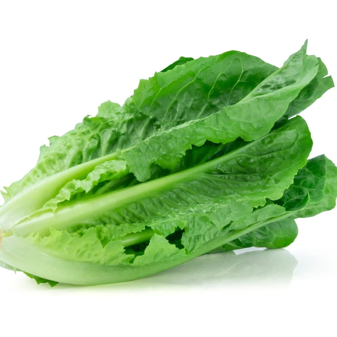 Romaine Bunch BC