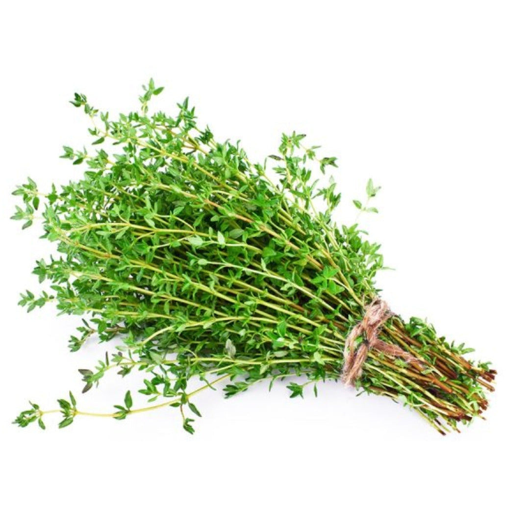 Pre Order Thyme Bunch w/sleeve