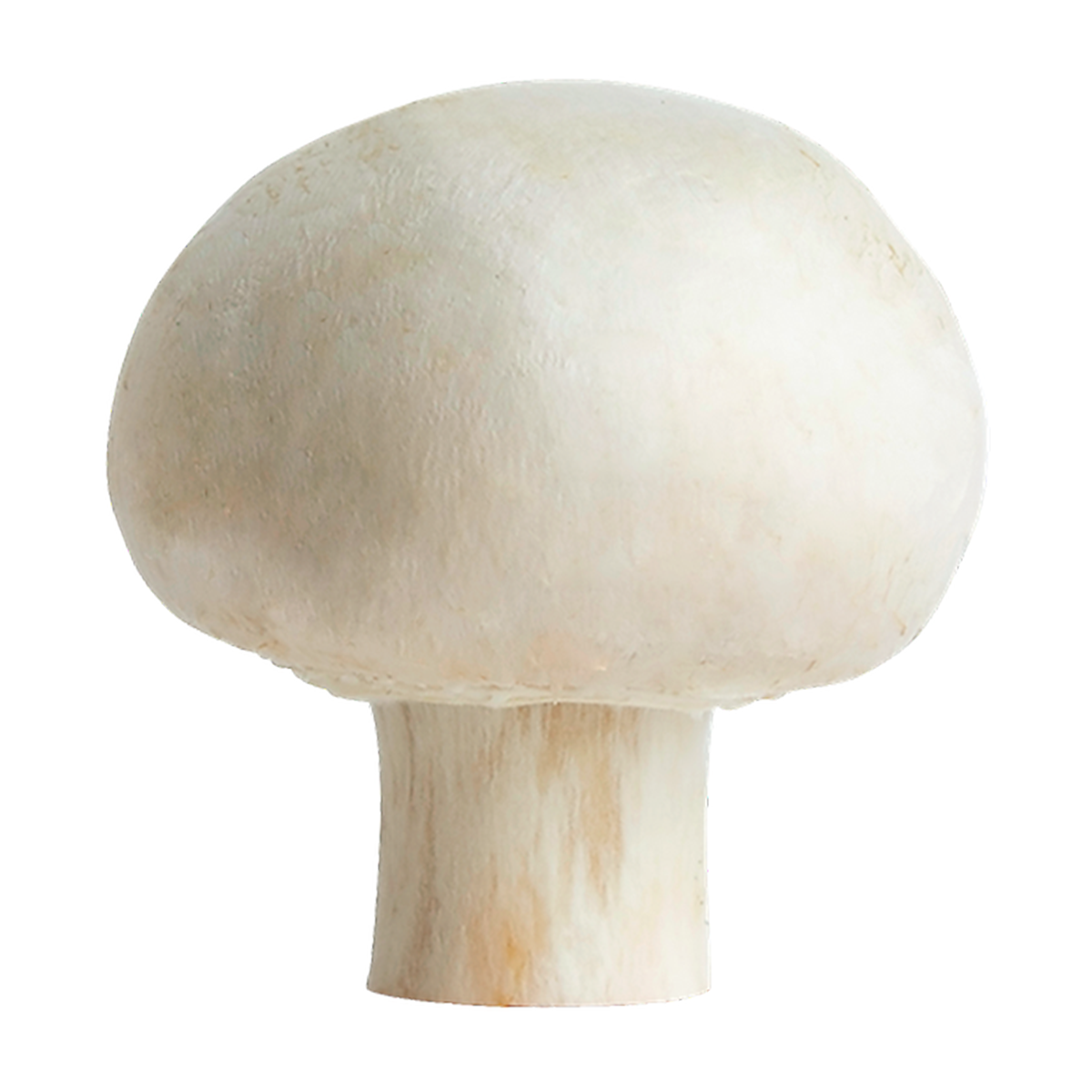 White Mushrooms -8oz